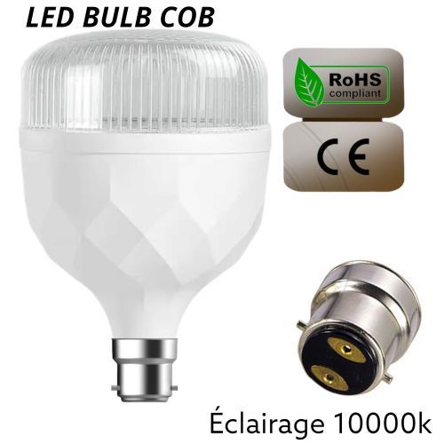 Ampoule Led Super Puissant 20 Watts B22