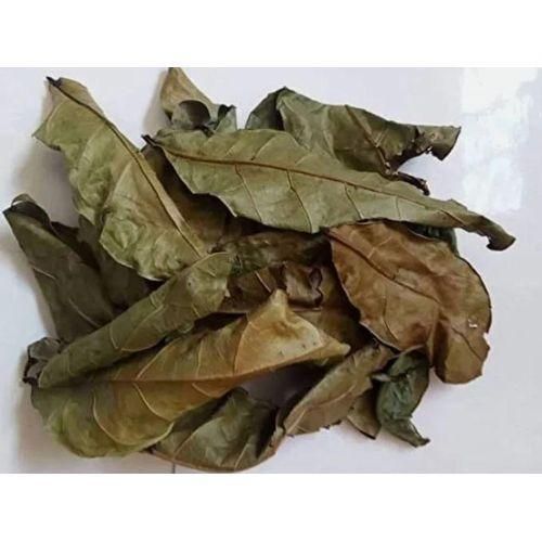 Feuilles D'Hysope