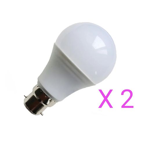 2 Ampoule Led économique 12w