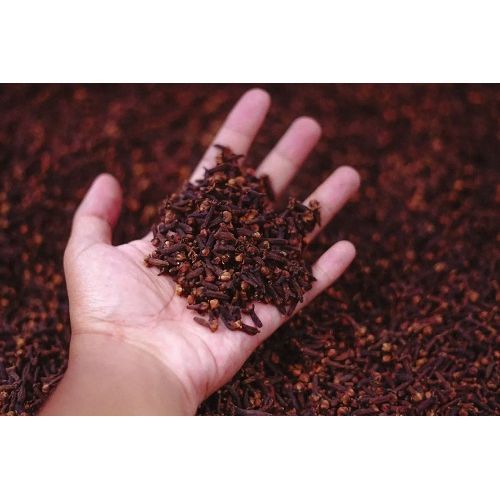 Grains De Clou De Girofle