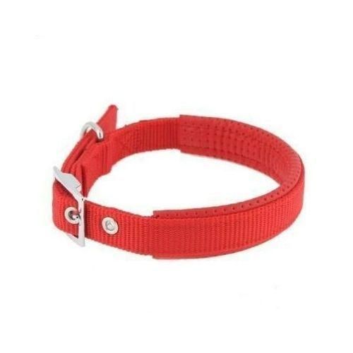 Collier Chien Et Chat